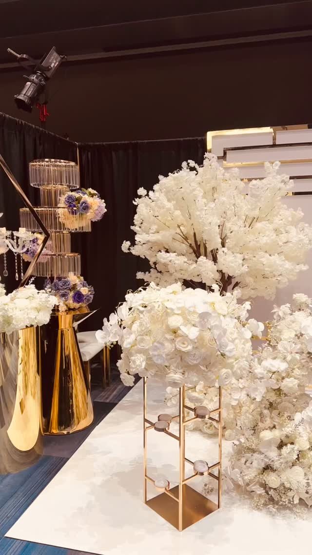 S&T will be at the expo this Sunday MARCH 1 from 11am-4pm at Best Western Lamplighter Inn 591 Wellington Rd,London Ontario